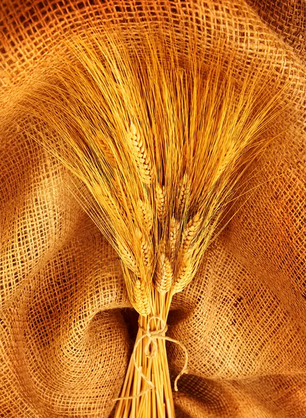 Pšenice kytice — Stock fotografie