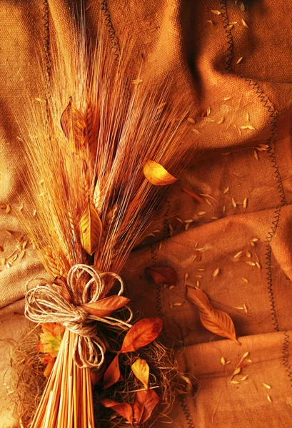Гранжевая пшеница — стоковое фото