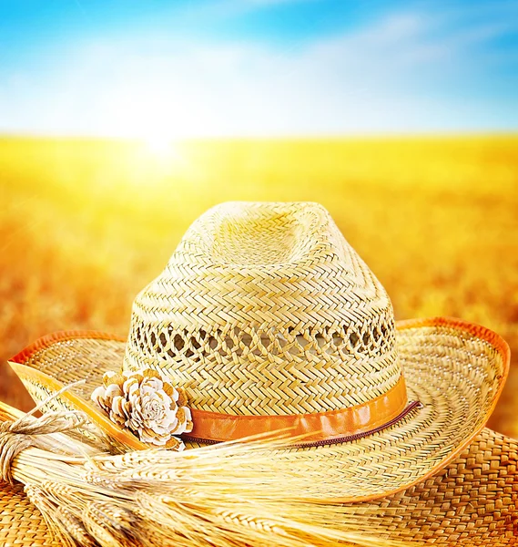 Wheat field and the hat of a farmer — Stock Photo, Image