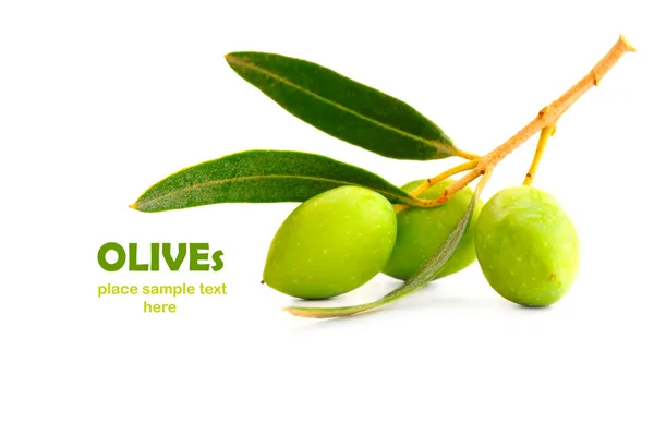 Čerstvé olivy — Stock fotografie
