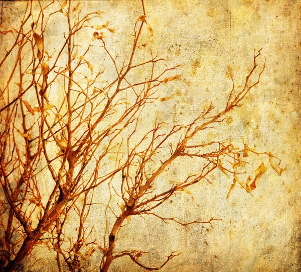 Grunge árvore — Fotografia de Stock