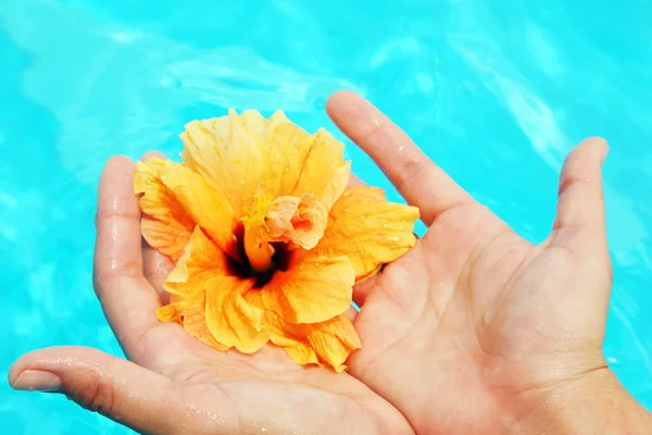 Красиві жіночі руки в басейні — стокове фото
