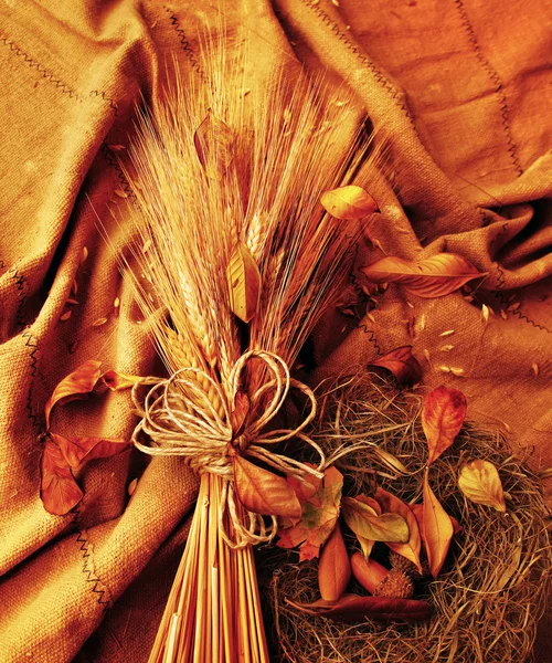 Гранж пшениці фону — стокове фото