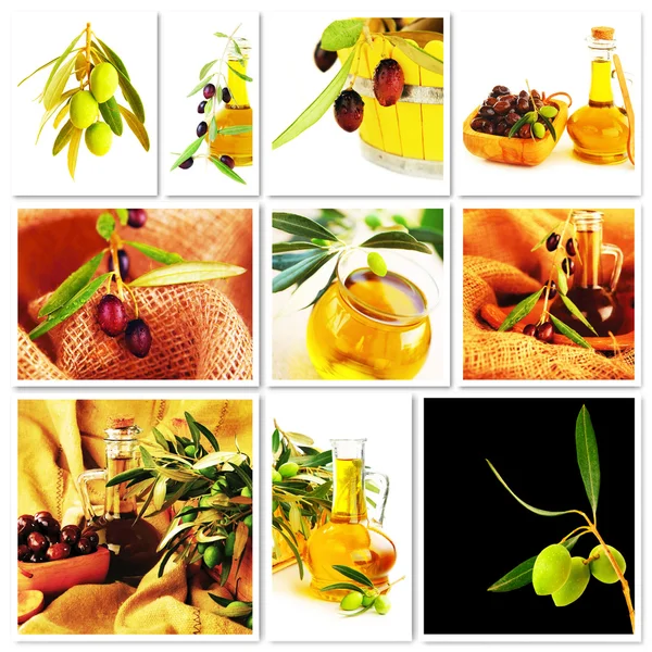 Oliven-Collage — Stockfoto