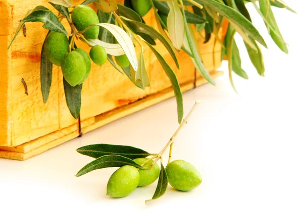 Свежие оливки — стоковое фото