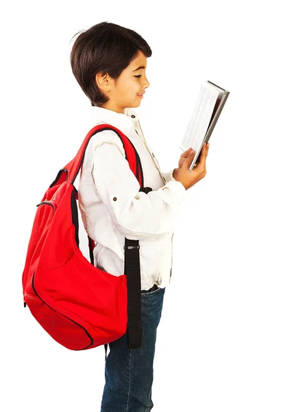 Cute schoolboy reading book — Stock Photo, Image