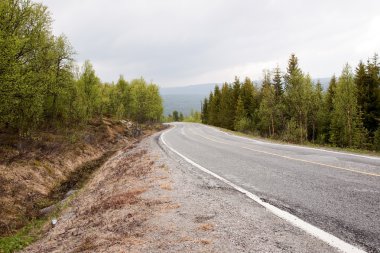 Norveç'te bir yerde yalnız yol