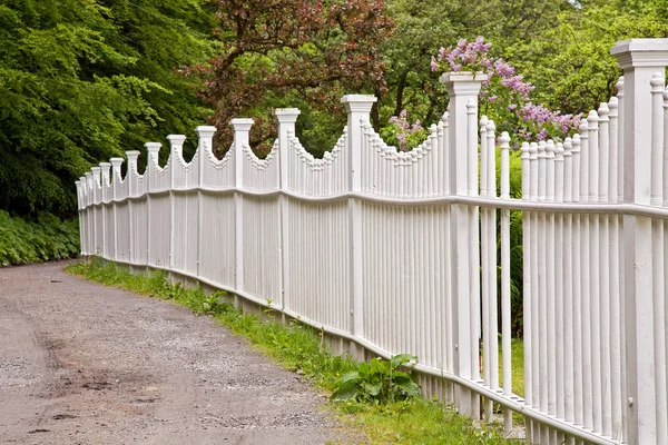 stock image White picket fence alongside a garden