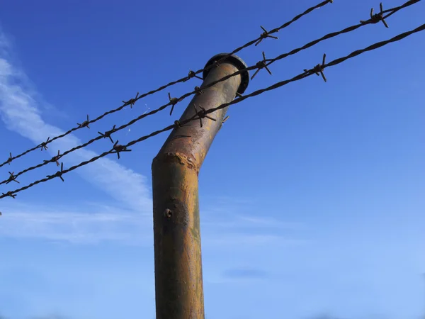 Barbed wire for security — Stock Photo, Image