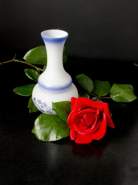 红玫瑰与绿色的树叶和瓶中的蓝色和白色的图纸 — 图库照片