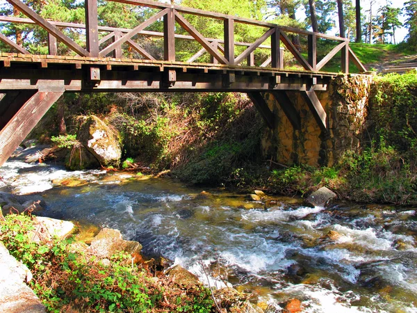 Alte Holzbrücke über einen Bach im Wald — Stockfoto
