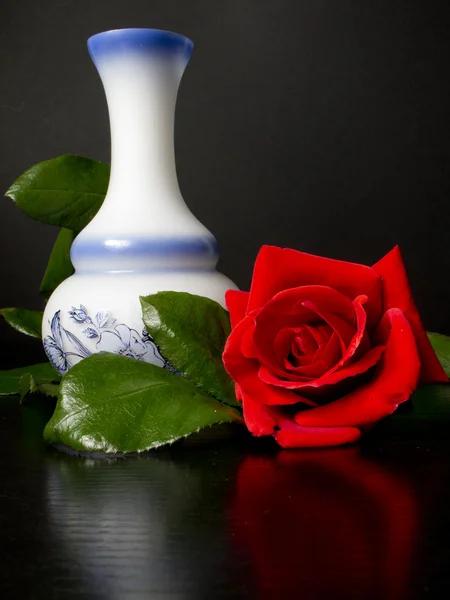 Grote rode roos naast een whi — Stockfoto