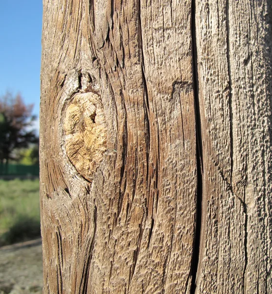 Old wooden pole left in the field — Stock Photo, Image