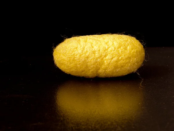 stock image Silkworm cocoon of bright yellow on a black background only