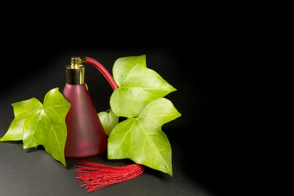 Red perfume bottle with rose leaves — Stock Photo, Image