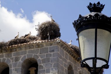 manzanares el storks ile gerçek bir kilise kule