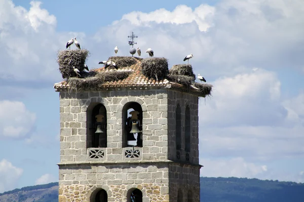 Torre de la iglesia en Manzanares el Real con cigüeñas — Foto de Stock