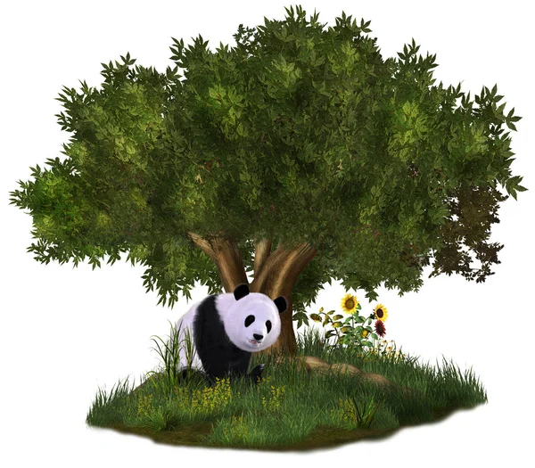 Cute panda — Stockfoto