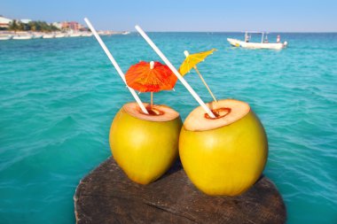 Coconut coktails in caribbean on wood pier