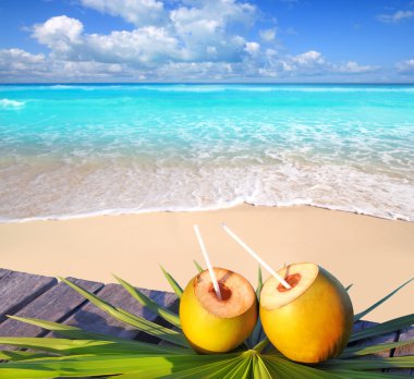Caribbean paradise beach coconuts cocktail clipart