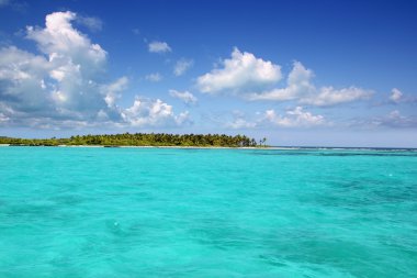 contoy Island, palm beach Meksika tabiatı