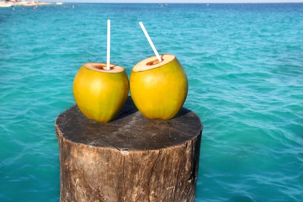 Fresh two coconuts juice water straws in caribbean — Stock Photo, Image