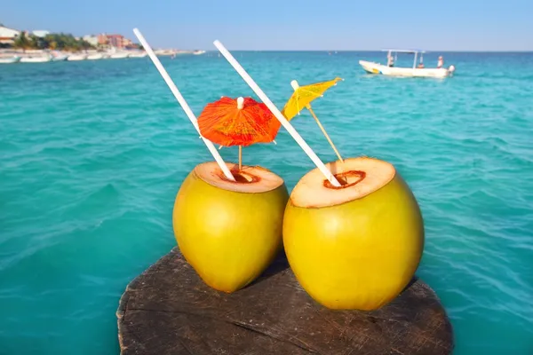 Coquetéis de coco no caribe no cais de madeira — Fotografia de Stock