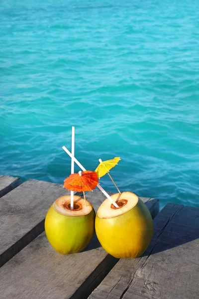 Kokosnuss-Kokosschwänze in der Karibik auf Holzsteg — Stockfoto