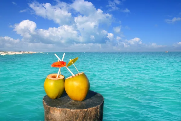 Fresco dos cocos jugo de agua pajitas en el Caribe — Foto de Stock
