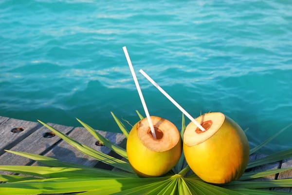 Kokosnüsse Cocktail Palmenblatt in der Karibik — Stockfoto