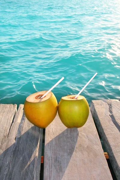 Kokosnoten cocktail palm boom blad in Caribisch gebied — Stockfoto