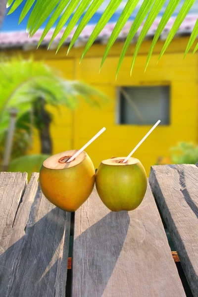 Cocos coquetel de palha tropica casa amarela — Fotografia de Stock