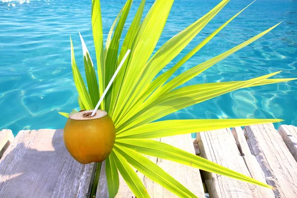 Cocos cóctel hoja de palmera en el Caribe —  Fotos de Stock