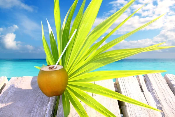 Coco fresco em caribbean mar pier chit palmeira folha — Fotografia de Stock