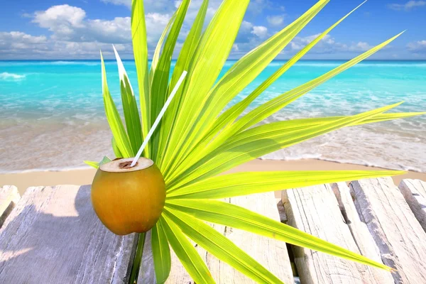 Coconut fresh in caribbean sea pier chit palm leaf — Stock Photo, Image