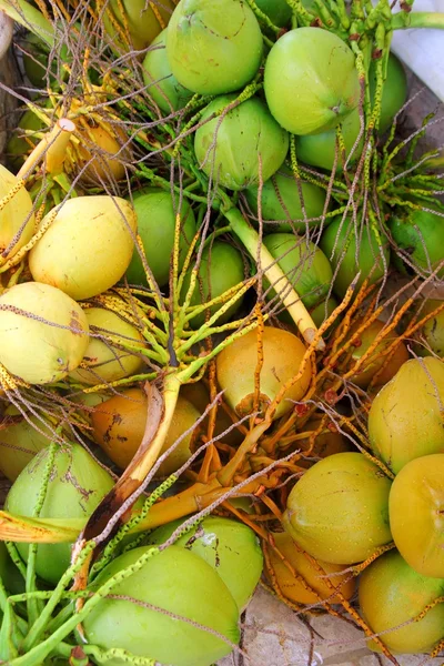 Cocos cosecha de cultivos frescos verde y amarillo —  Fotos de Stock