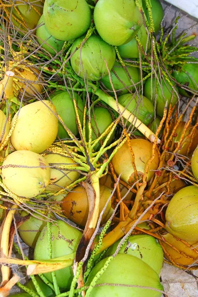 Cocos cosecha de cultivos frescos verde y amarillo — Foto de Stock