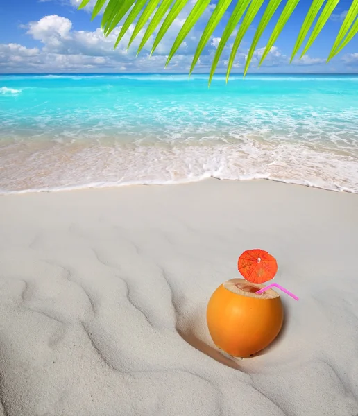 Coconut on Caribbean beach straw juice cocktail — Stock Photo, Image