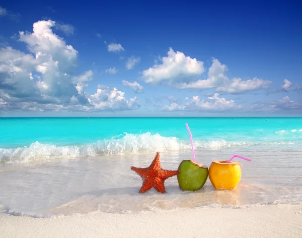 Cocktails de noix de coco jus et étoiles de mer sur la plage tropicale — Photo
