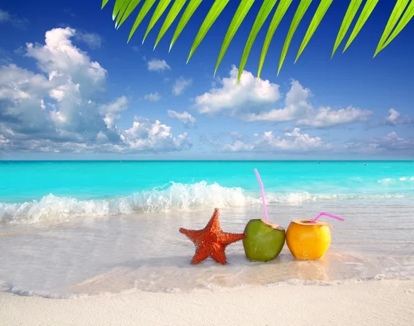 Suco de coquetéis de coco e estrela do mar na praia tropical — Fotografia de Stock