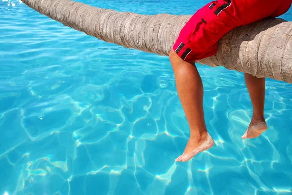 Karayip eğimli palmiye ağacı beach turizm bacaklar — Stok fotoğraf
