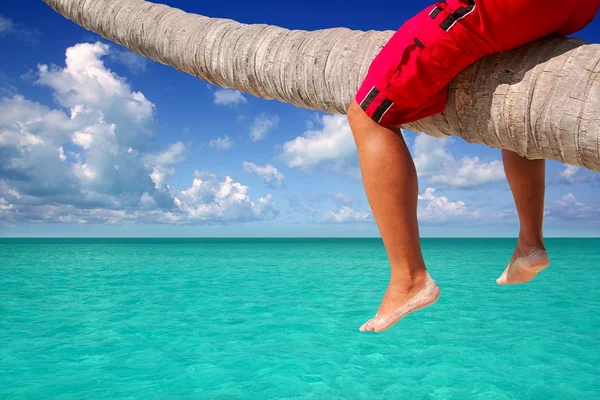 Karibik geneigte Palmen Strand Touristenbeine — Stockfoto