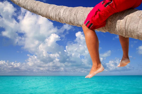 Caribische geneigd palm tree strand toeristische benen — Stockfoto