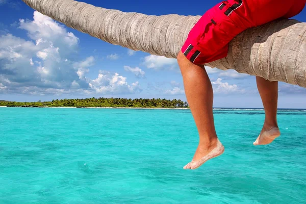 Caribische geneigd palm tree strand toeristische benen — Stockfoto