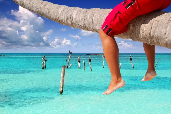 Caribbean inclined palm tree beach tourist legs — Stock Photo, Image