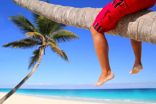 Dłoń Karaiby skłonni drzewo plaży turystycznych nogi — Zdjęcie stockowe