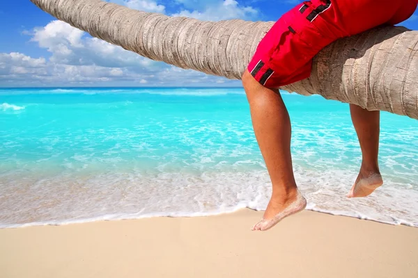 Caribbean inclined palm tree beach tourist legs — Stock Photo, Image