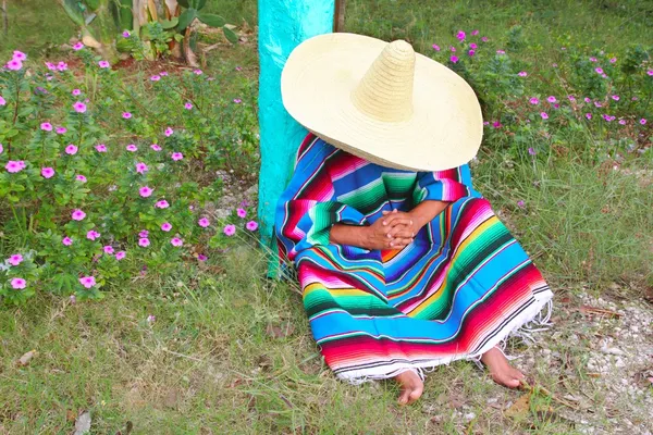 Mexican lazy sombrero hat man poncho nap garden — Stock Photo, Image