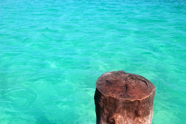 Tronco de madera tropical como columna de amarre en el Caribe — Foto de Stock