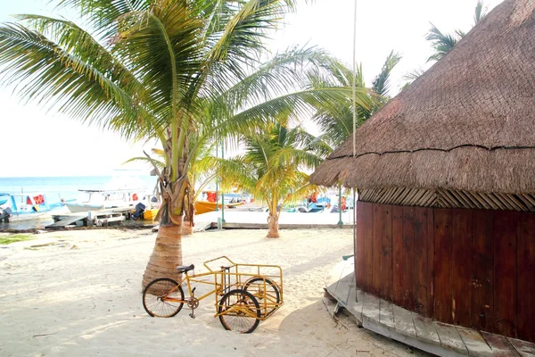 Tropik ağaç kulübe palapa cancun Meksika — Stok fotoğraf